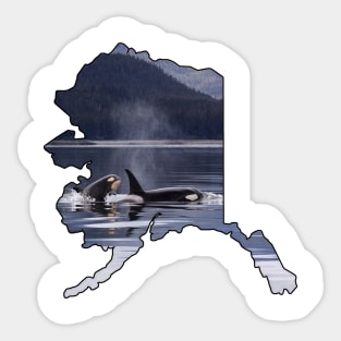 Alaska (Orca Whales) Sticker